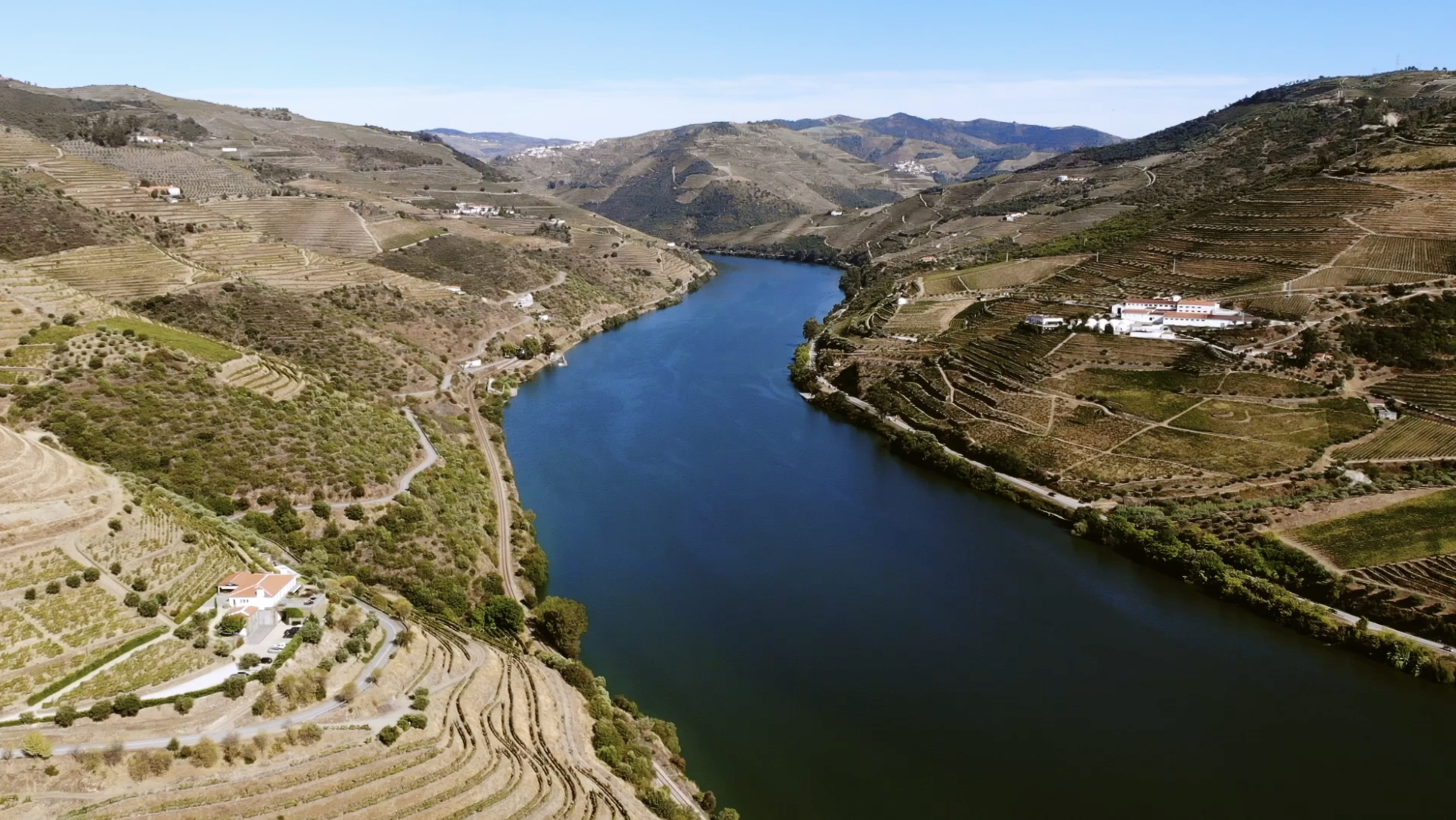 Harvest 2022 in the Douro Valley «Wines never so light. And it will be a great Port»