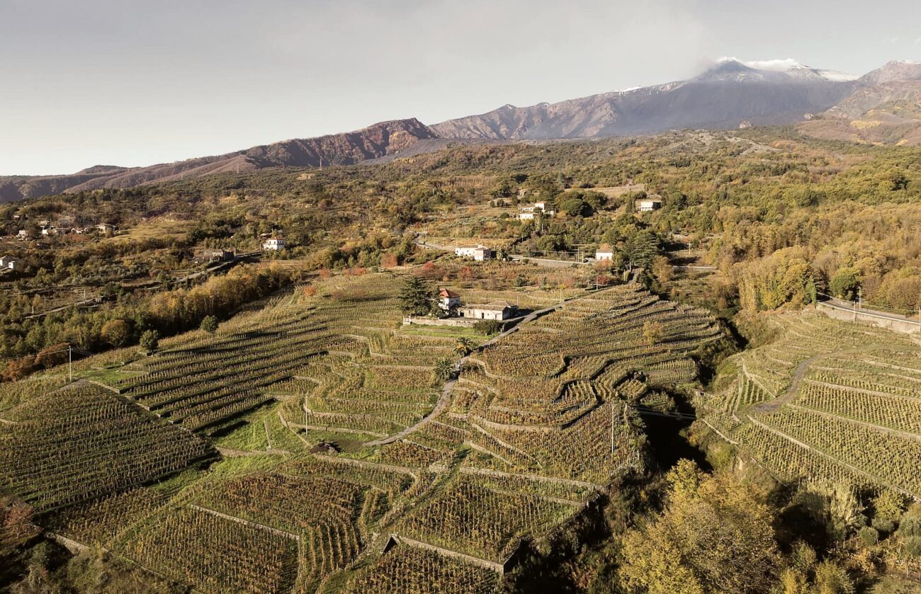 La Sicilia del vino, sempre più matura e di qualità: radiografia di Sicilia en Primeur 2023
