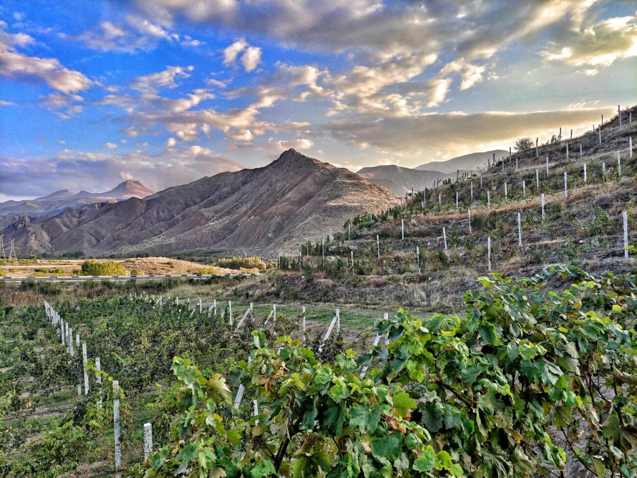 L’Armenia del vino è risorta: fotografia dalla periferia del mondo