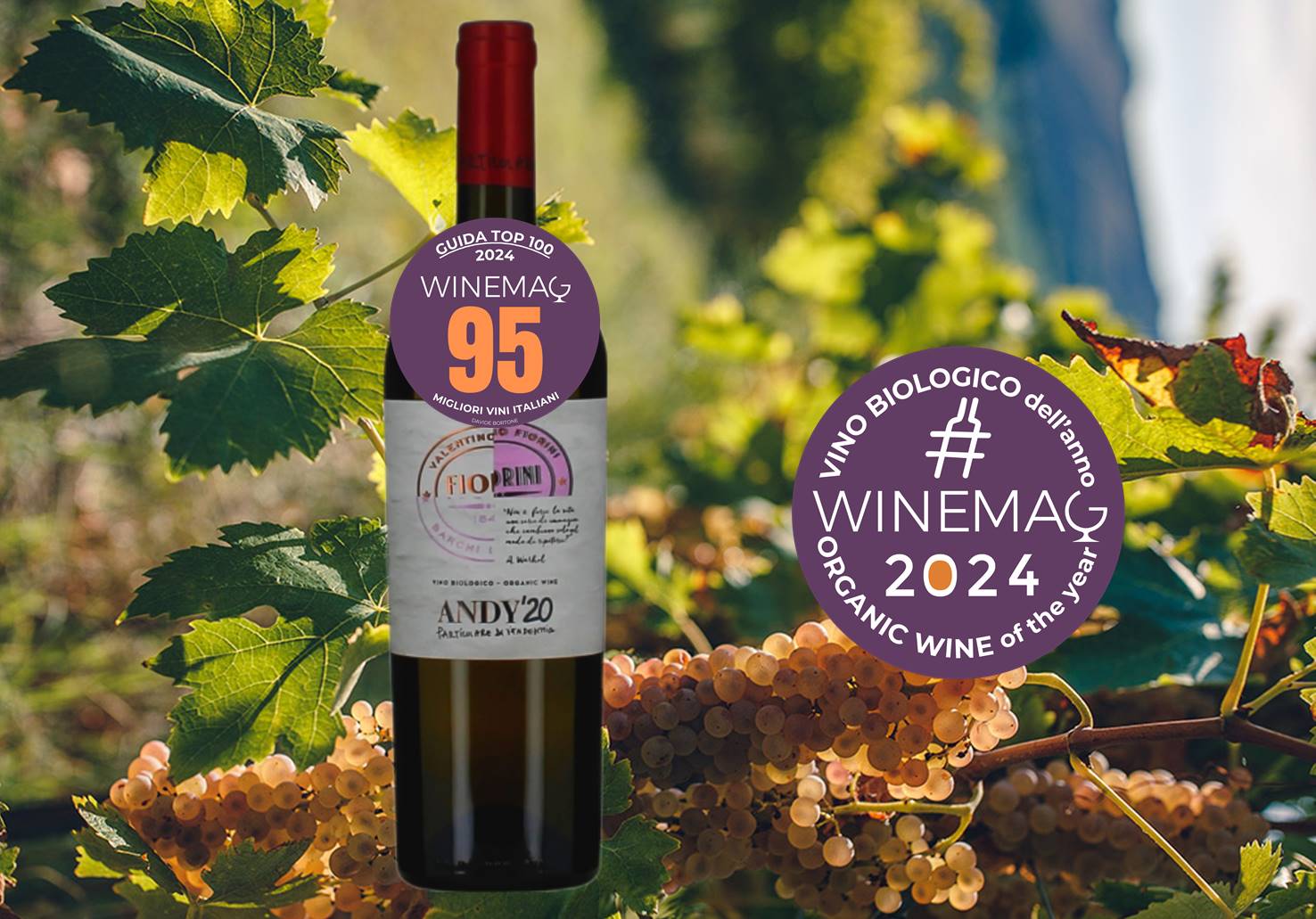Miglior vino biologico italiano 2024 Bianchello del Metauro Doc Superiore 2020 Andy'20 Valentino Fiorini guida top 100 winemag davide bortone
