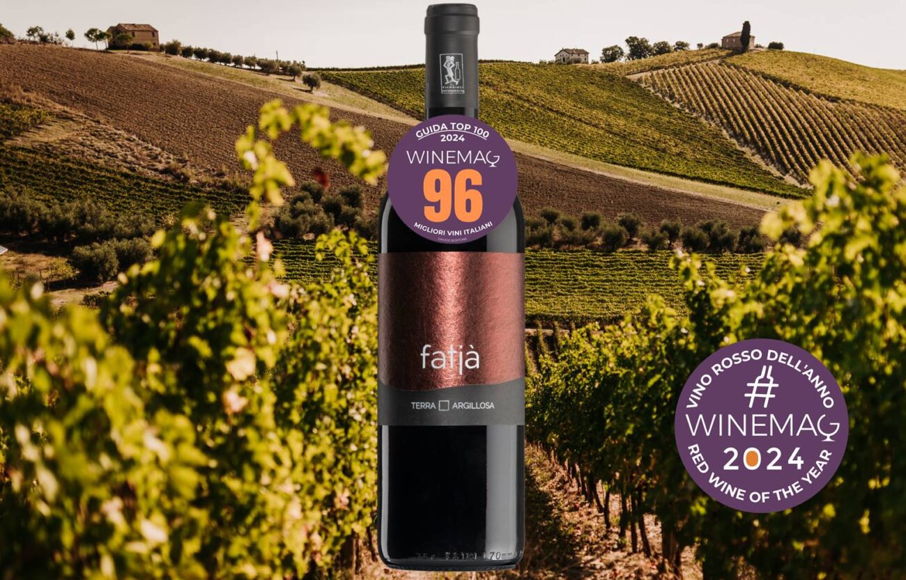 Miglior vino rosso italiano 2024 Marche Rosso Igt Fatjà di Terra Argillosa guida top 100 winemag.it davide bortone